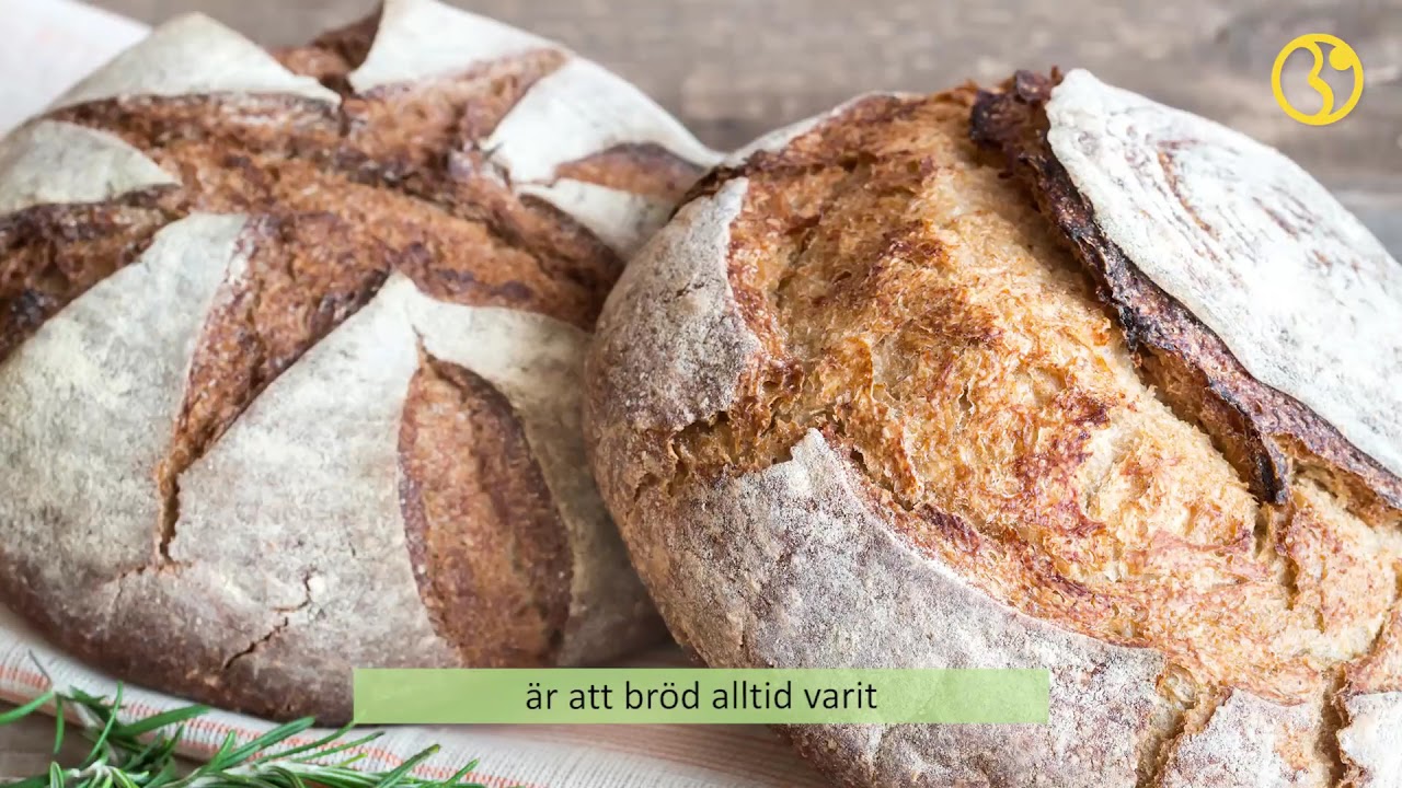 Vi har ätit bröd i 10 000 år - och fortsätter